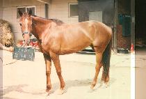 ������ (KEUN NAE GI) ����