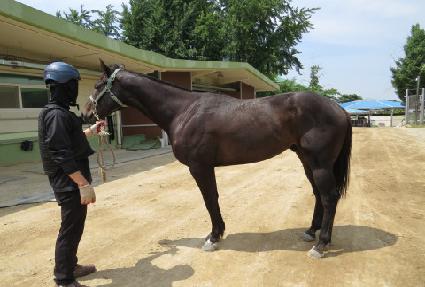 ����Ÿ�̰� ����