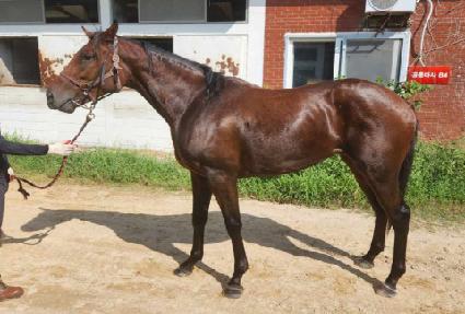 �ʰ����� ����