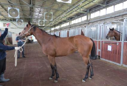 �ȷο�� ����