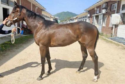 ¦��� ����