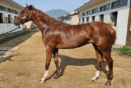 �ĵ�� ����