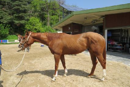 ����Ÿ�� ����