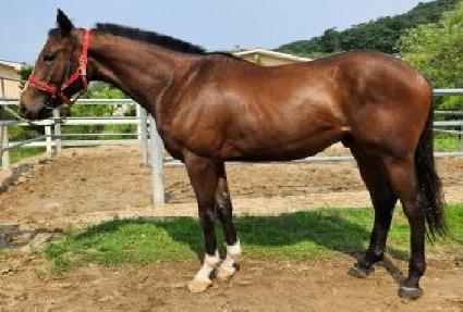 �׷����� ����