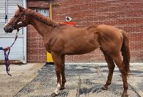 ���ִ�� (UNJU DAEBAK) ����