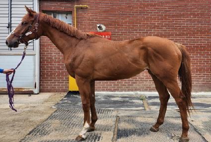 ���ִ�� ����