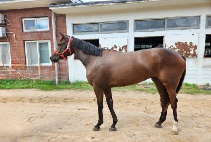 ���ǵ��� ����