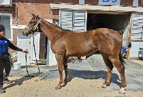 �����̾�� (EMPIRE DAY) ����