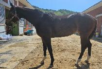 �ô����� (ALL THE WAY) ����