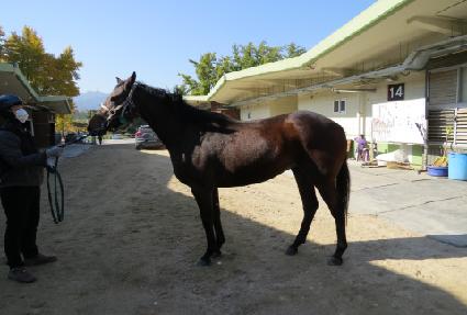 �����̽���� ����