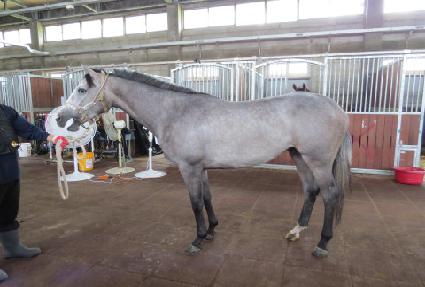 ������ ����