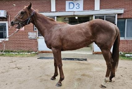 ĲĲ���� ����