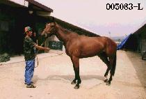 �ڶ�ȸ (BANG NAM WHE) ����