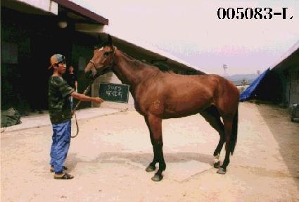 �ڶ�ȸ ����