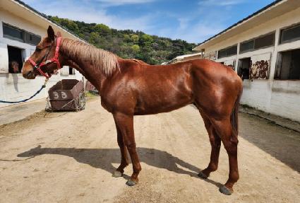 ���ְ��� ����