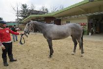 ������ (BITNARA) ����