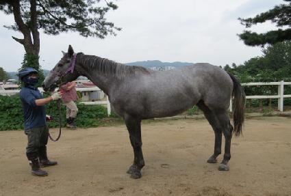 ��Ű���̿� ����