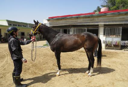 ��´����̻� ����