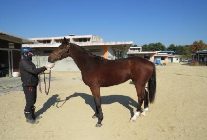 ����Ʈ������ ����