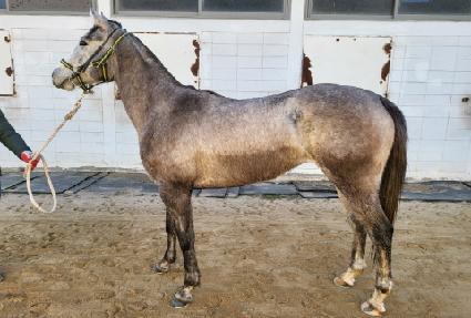 ����Ʈ�÷��� ����