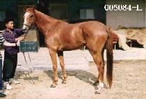 ������ (GAE YEO WOOL) ����