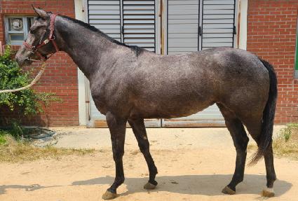 �÷��÷� ����