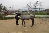 �÷��ù��� (FLASH MOVE) ����