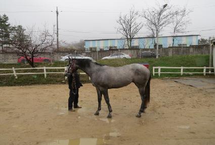 �÷��ù��� ����