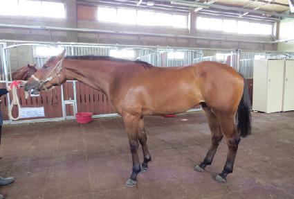 �������� ����