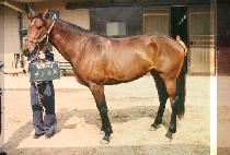 õ�Ͼ�ȭ (CHEU NIL YA WHA) ����