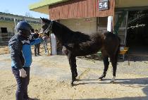 �������� (QUEEN SPECTER) ����