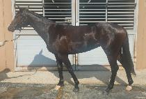 ���ǿ��� (KKEUTPAN YEOGEOL) ����