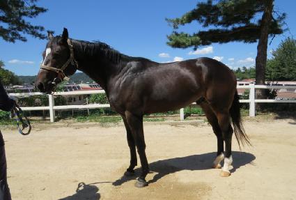 �������̾� ����