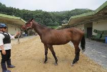 ��ī�캸�� (NEW COWBOY) ����