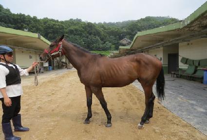 ��ī�캸�� ����