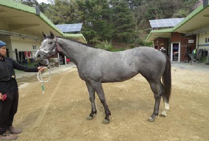 ���ǻ����� ����