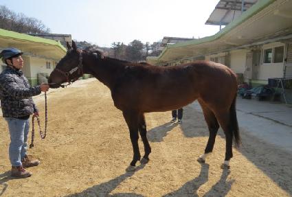 ���۽ô� ����