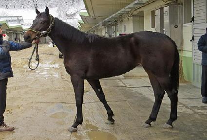 ��Ű��Ű ����