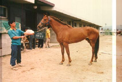 �ູã�� ����