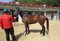 ��´�����Ʈ (RAON THE BELMONT) ����