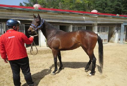 ��´�����Ʈ ����