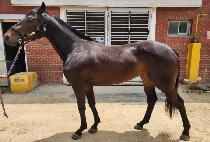 ���̽��� (NICE GIRL) ����