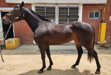 ���̽��� ����