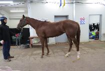 �����Ƽ (MODERN PARTY) ����