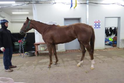 �����Ƽ ����