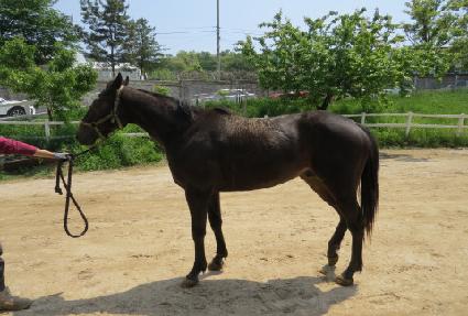 ����Ʈ���� ����