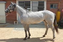 ������� (EUNBIT DAERO) ����