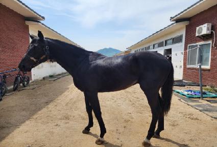 �� ����