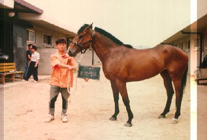 ������ũ ����