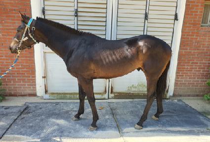 ����Ƽ ����